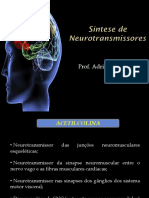 Síntese de Neurotransmissores