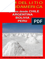 01Litio-Sudamerica.pdf