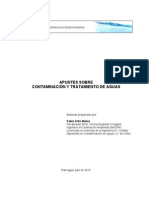 Apuntes Contaminación y Trtamiento en PDF