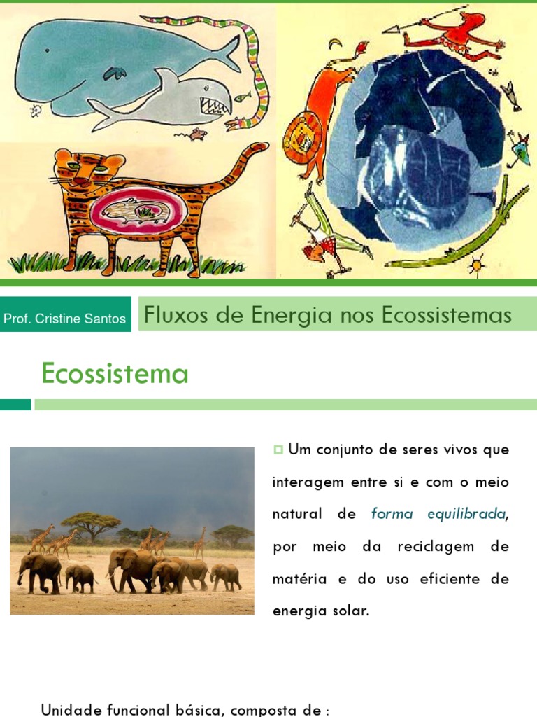Fluxo de Energia nos Ecossistemas | PDF | Ecossistema | Fotossíntese
