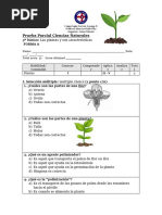Cs Naturales 3º Básico PLANTAS FORMA A