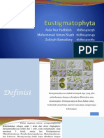 Eustigmatophyta