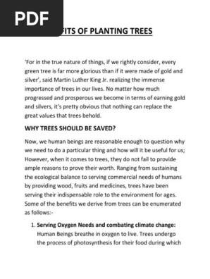 Benefits of Planting Trees Explained | PDF | Trees | Soil