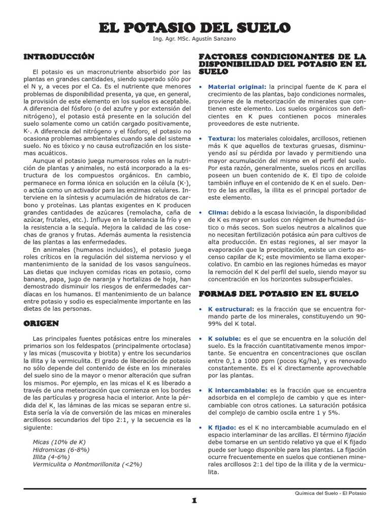 Importancia del Potasio en el Suelo | PDF | Potasio | Dieta y nutrición