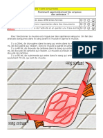 T2c06a01 - Besoin Des Cellules Et Muscles