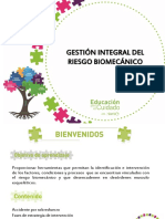 Riesgo Biomecanico Presentacion Gestion Integral Del