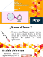 Analisis de Semen