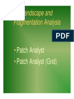 Landscape and Fragmentation Analysis: Patch Analyst Patch Analyst (Grid)
