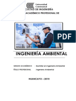 Ingenieria Ambiental