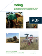 Training Manual Harvesting PDF