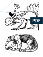 animales para pintar del monte chaqueño