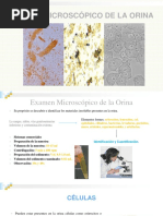 orina