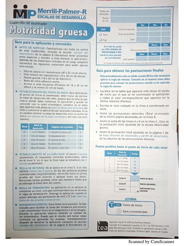 merril-palmer-motricidad-gruesa-examinador-pdf
