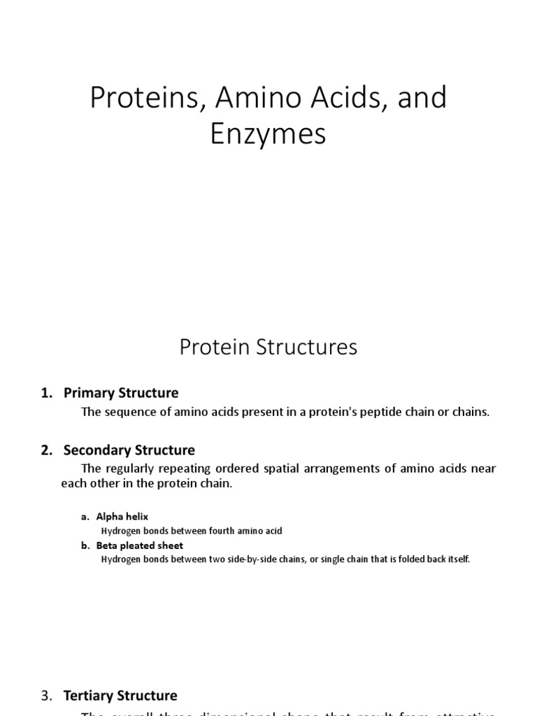 Proteins Amino Acids Enzymes PDF Enzyme Active Site