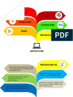 Metabolisme 2019 Pending