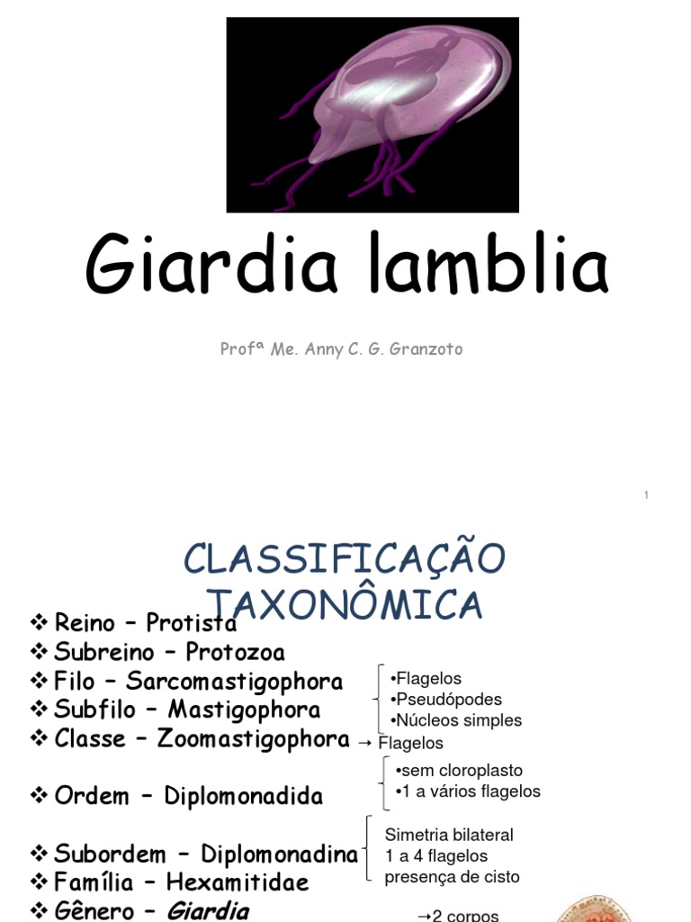 Estrutura e Ciclo da Giardia Lamblia | PDF | Especialidades médicas ...