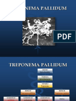 24 Treponema Pallidum