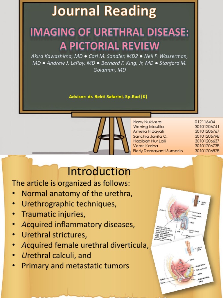 Jurnal Urethral Disease | PDF | Urology | Medical Specialties