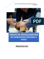 INFORME N°1