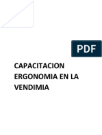 Ergonomia en La Vendimia