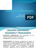 Líquidos Corporales