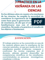 Trabajo Practico en La Enseñanza de Las Ciencias Didactica II