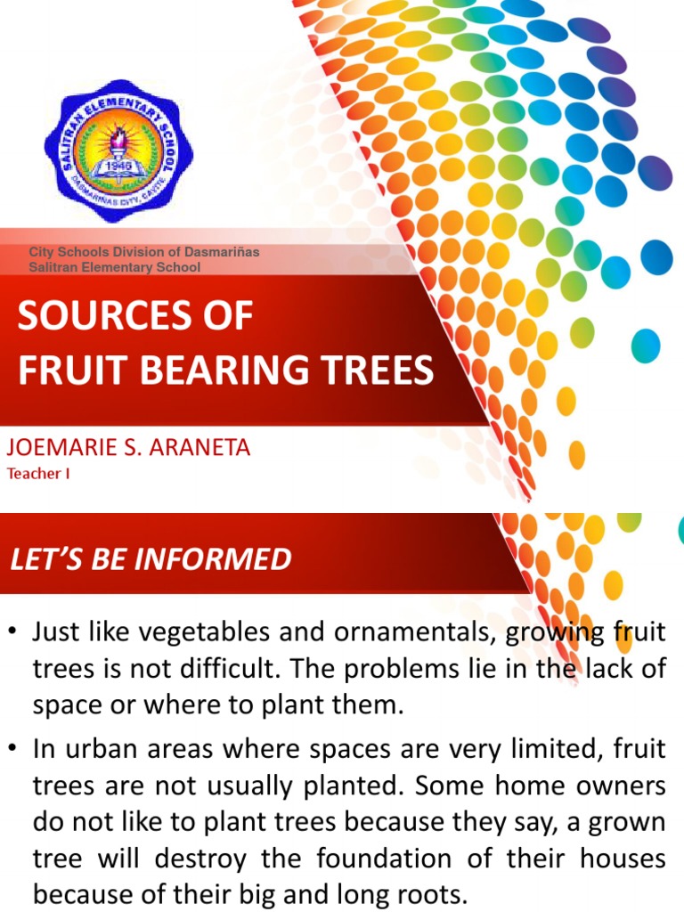 Sources of Fruit Bearing Trees Mango Fruit