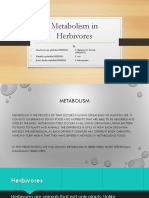 Metabolism in Herbivores