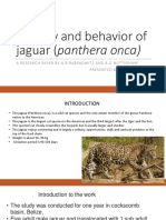 Ecology and Behavior of Jaguar (Panthera Onca)