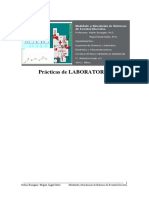 practicas_simulacion_msse.pdf