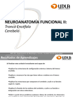 Clase 6 Neuroanatomía Tronco Encéfalo y Cerebelo MYF201 201920