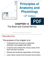 Anatomy Physiol 2014 Tortora Brain and Cranial Nerves