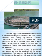 Fish Farming: A Solution to Declining Fish Supply