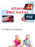 Etapas Del Desarrollo Humano