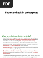 Photosynth Pigments