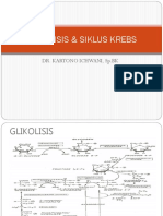 BMD - Glikolisis & Siklus Krebs