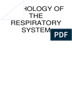 Asthma and Pneumonia: Causes, Symptoms and Treatments of Respiratory Diseases