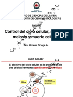Control Ciclo Celular