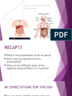 Describing The Functions of The Parts of The Digestive System