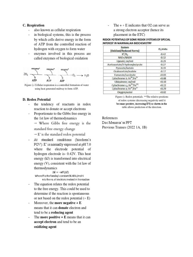 Biochem | PDF | Technology & Engineering