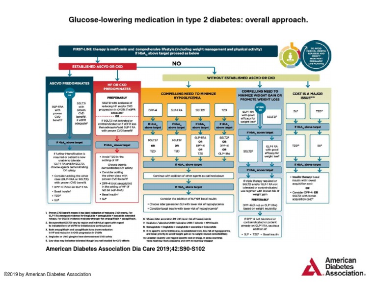 Glucose-Lowering Medication in Type 2 Diabetes: Overall Approach | PDF ...