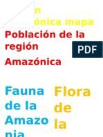 Región Amazónica Mapa