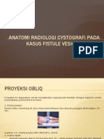 Anatomi Radiologi Cystografi Obliq