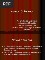 Nervos+cranianos