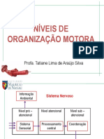 Niveis de Organização Motora