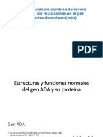 Inmunodeficiencia Combinada Severa Producida Por Mutaciones en El