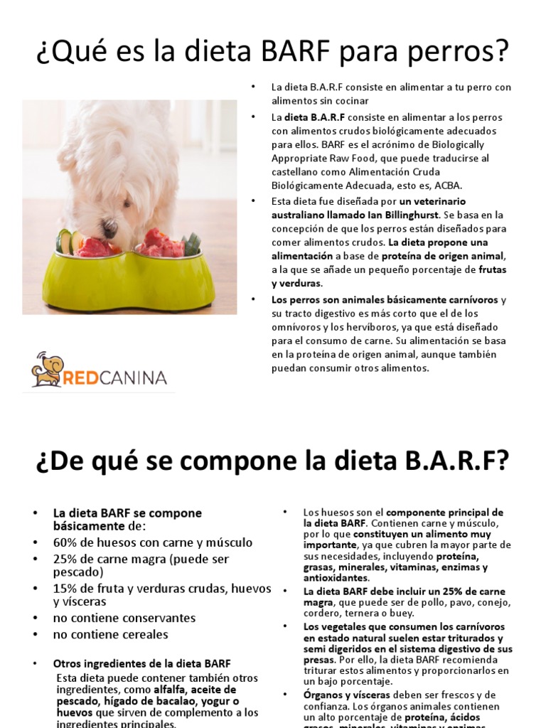 sesión Exquisito Ceder Qué Es La Dieta BARF para Perros | PDF | Dieta | Alimentos