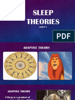 Sleep Theories