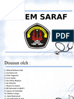 Sistem Saraf 1