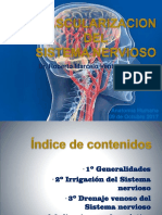 01. Vascularización del Sistema Nervioso.pdf